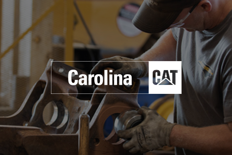 carolina cat branded image