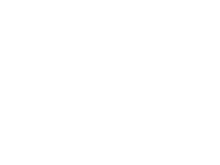 Blue Skye Automation logo white