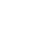 Power Products and Solutions logo white